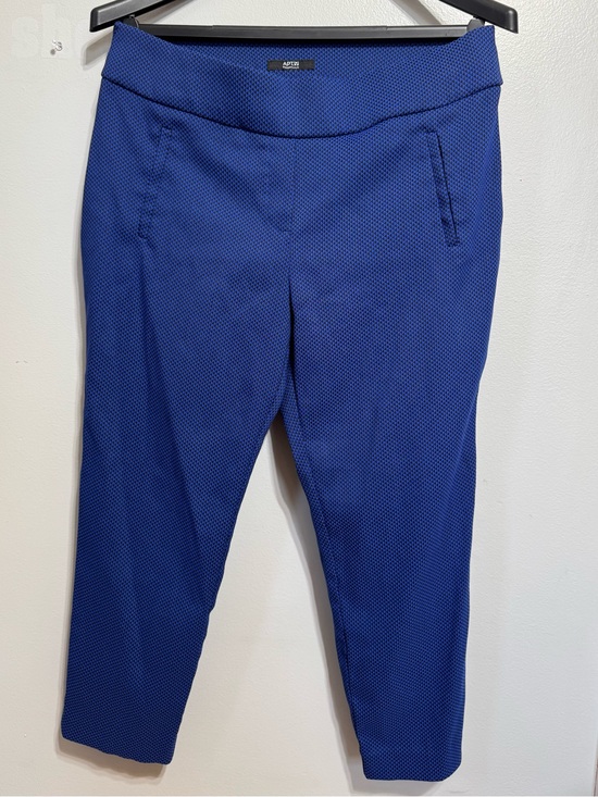 Essentials Pants - Apt 9 Essentials Women's Royal Blue Textured Ankle Pants
